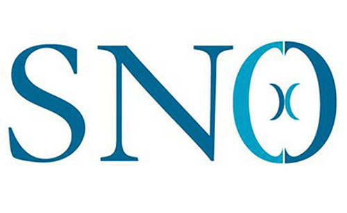 The Society for Neuro-Oncology Logo